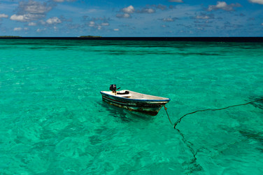 Similar image 674137