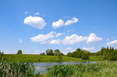 Similar image 674142