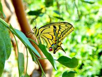 Similar image 674156