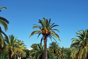 Similar image 674169