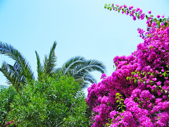 Similar image 674170