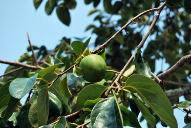 Similar image 674182