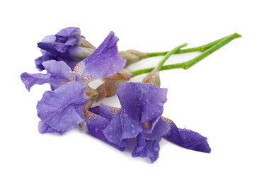 Similar image 674194