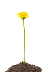 Similar image 674199