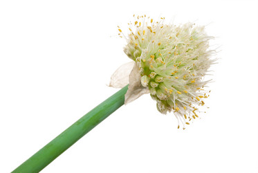 Similar image 674205