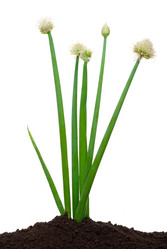 Similar image 674211