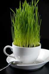 Similar image 674261