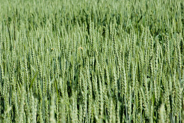 Similar image 674268