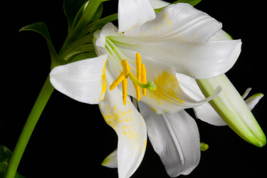 Similar image 674318