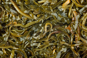 Similar image 674329