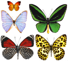 Similar image 674330