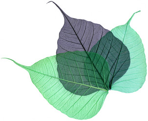 Similar image 674339