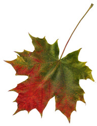 Similar image 674364