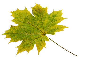 Similar image 674365