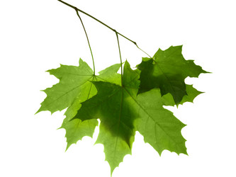 Similar image 674366