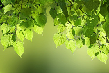 Similar image 674367