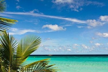 Similar image 674408