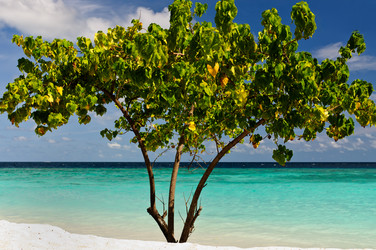 Similar image 674410