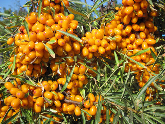 Similar image 674411