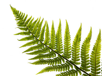 Similar image 674456