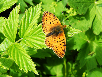 Similar image 674457