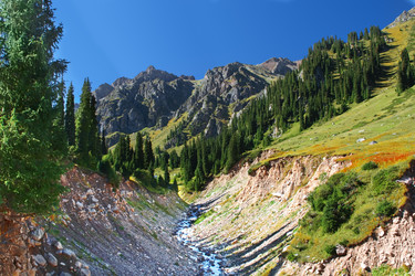 Similar image 674479