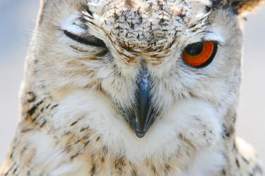 Similar image 674484