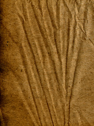 Similar image 674490