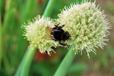 Similar image 674500