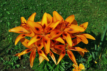 Similar image 674504