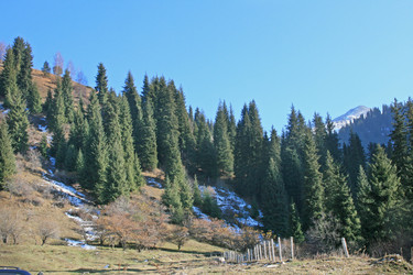 Similar image 674505