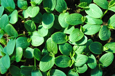 Similar image 674536