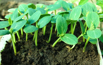 Similar image 674538