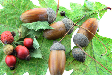 Similar image 674547