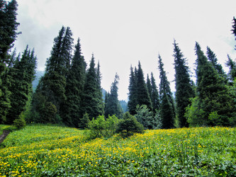 Similar image 674551