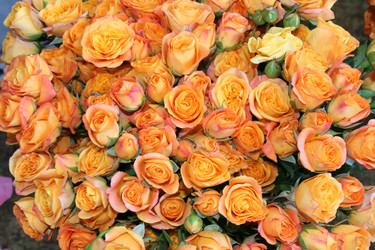 Similar image 674557