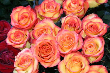 Similar image 674559