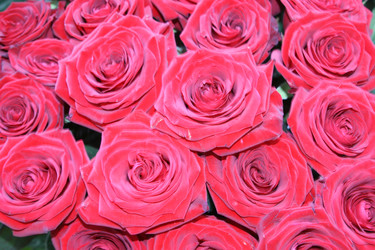 Similar image 674561