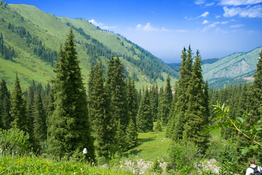 Similar image 674566