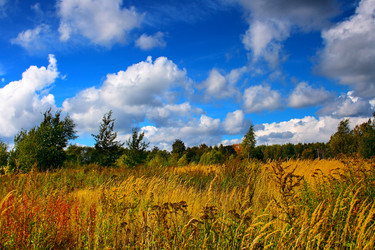 Similar image 674571