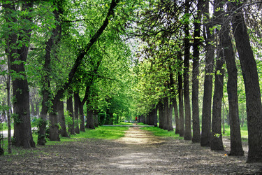 Similar image 674573