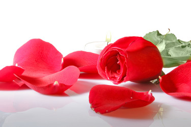 Similar image 674585