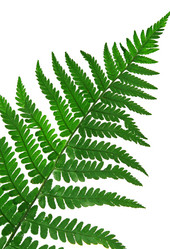 Similar image 674587