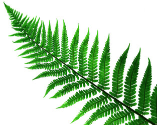 Similar image 674588