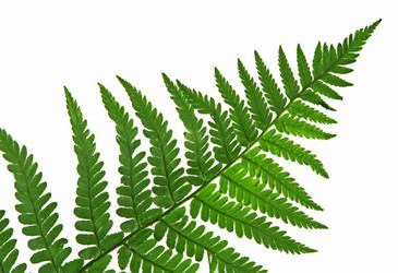 Similar image 674595