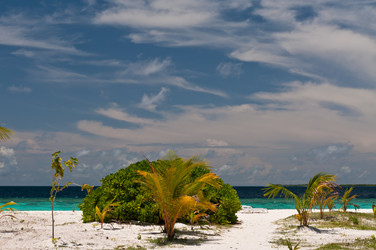 Similar image 674612