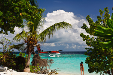 Similar image 674619