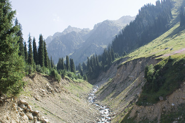 Similar image 674626