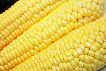 Similar image 674629