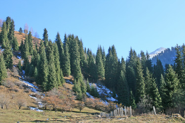 Similar image 674636